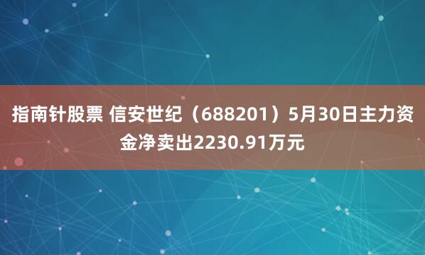 指南针股票 信安世纪（688201）5月30日主力资金净卖出2230.91万元