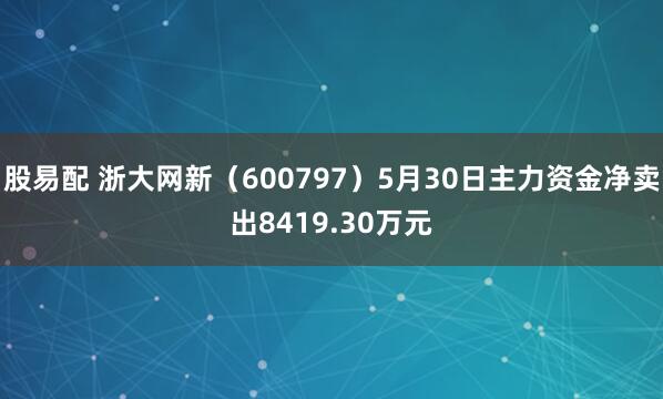 股易配 浙大网新（600797）5月30日主力资金净卖出8419.30万元