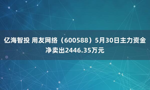 亿海智投 用友网络（600588）5月30日主力资金净卖出2446.35万元
