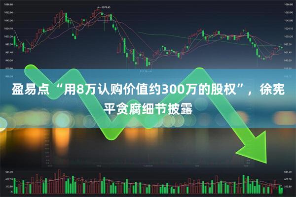 盈易点 “用8万认购价值约300万的股权”，徐宪平贪腐细节披露